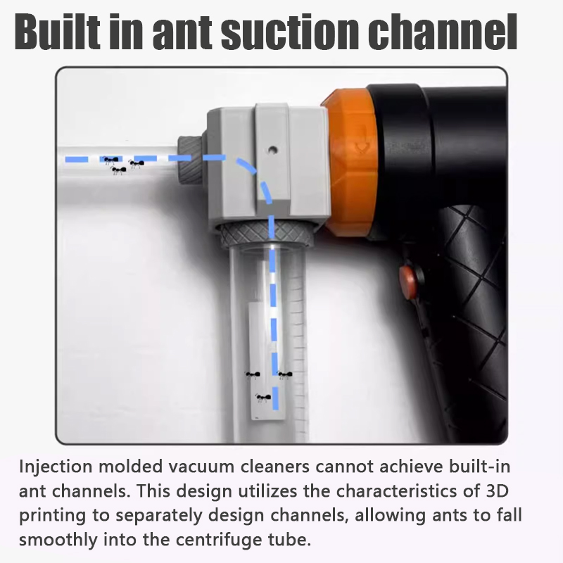 Ant Farm Collection Tool Ants  - Begonia Rex 评论和价格