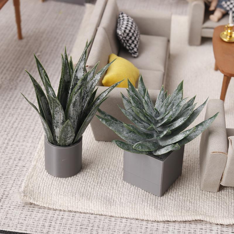 Miniature Aloe Vera Potted Pla - Aloe Vera Pot 评论和价格