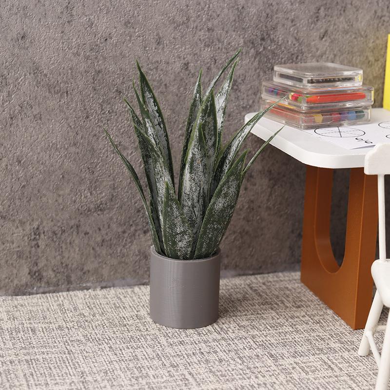 Miniature Aloe Vera Potted Pla - Aloe Vera Pot 评论和价格