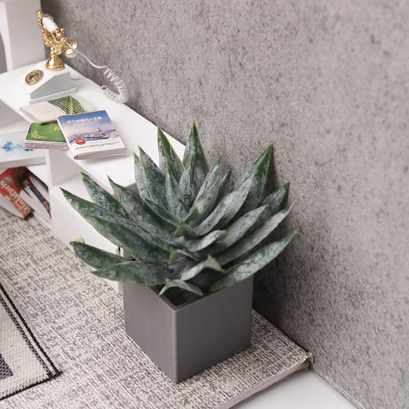 Miniature Aloe Vera Potted Pla - Aloe Vera Pot 评论和价格