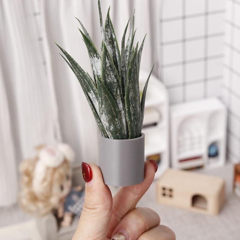 Miniature Aloe Vera Potted Pla - Aloe Vera Pot 评论和价格