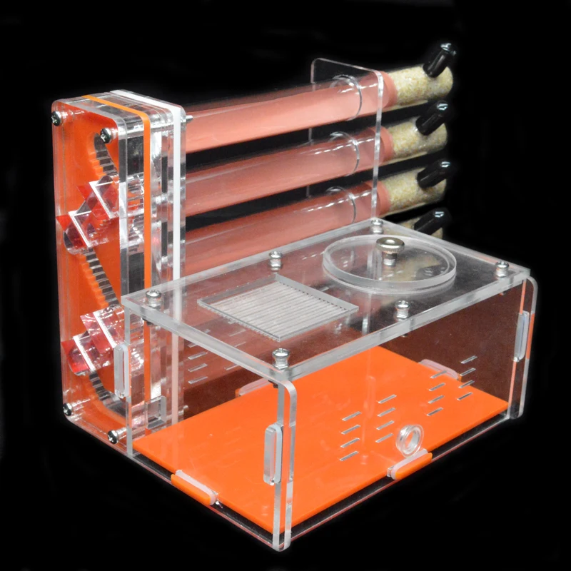 DIY Acrylic Ant Farm 5 pcs 18- - Begonia Rex 评论和价格