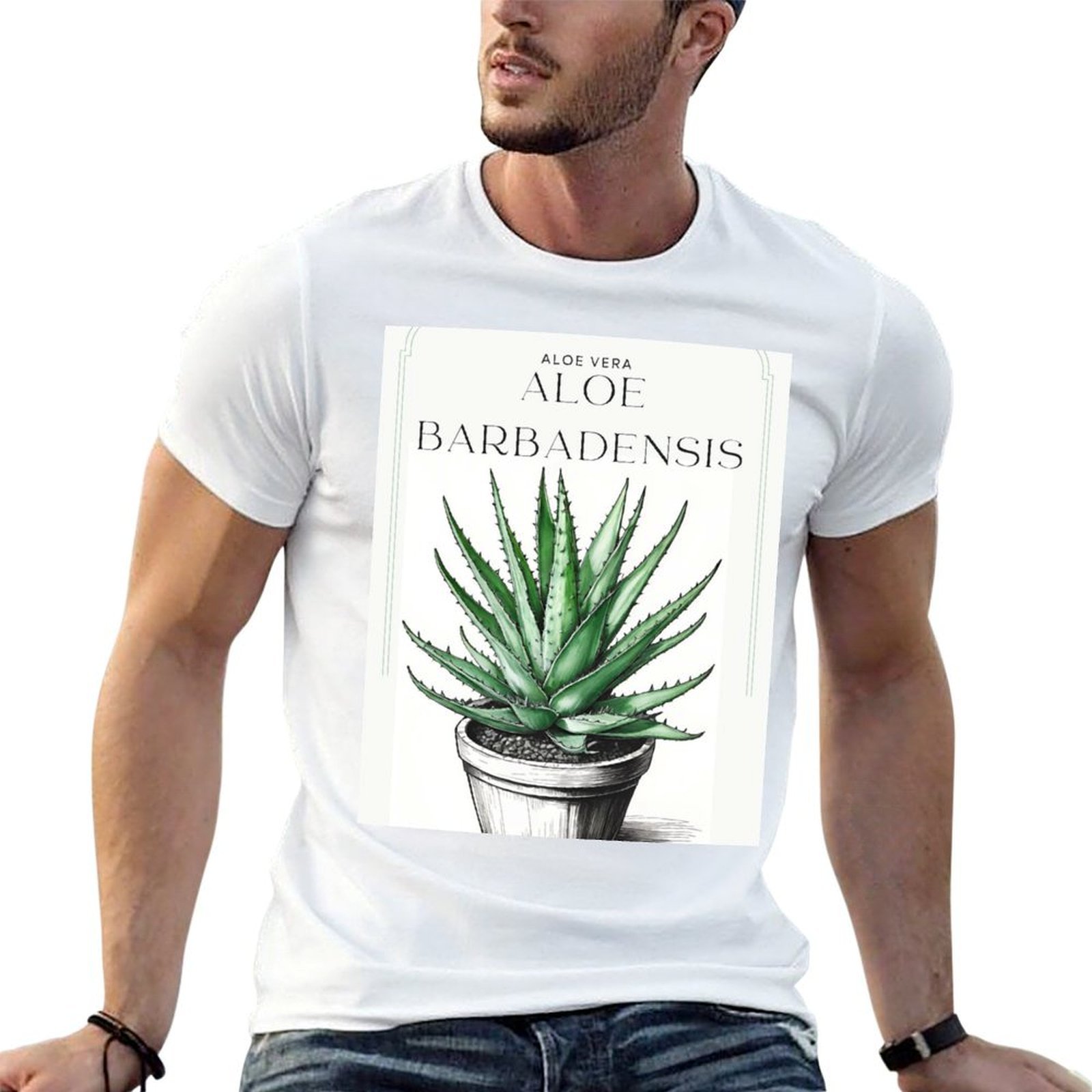 Botanical Aloe Vera in pot rus - Aloe Vera Pot 评论和价格