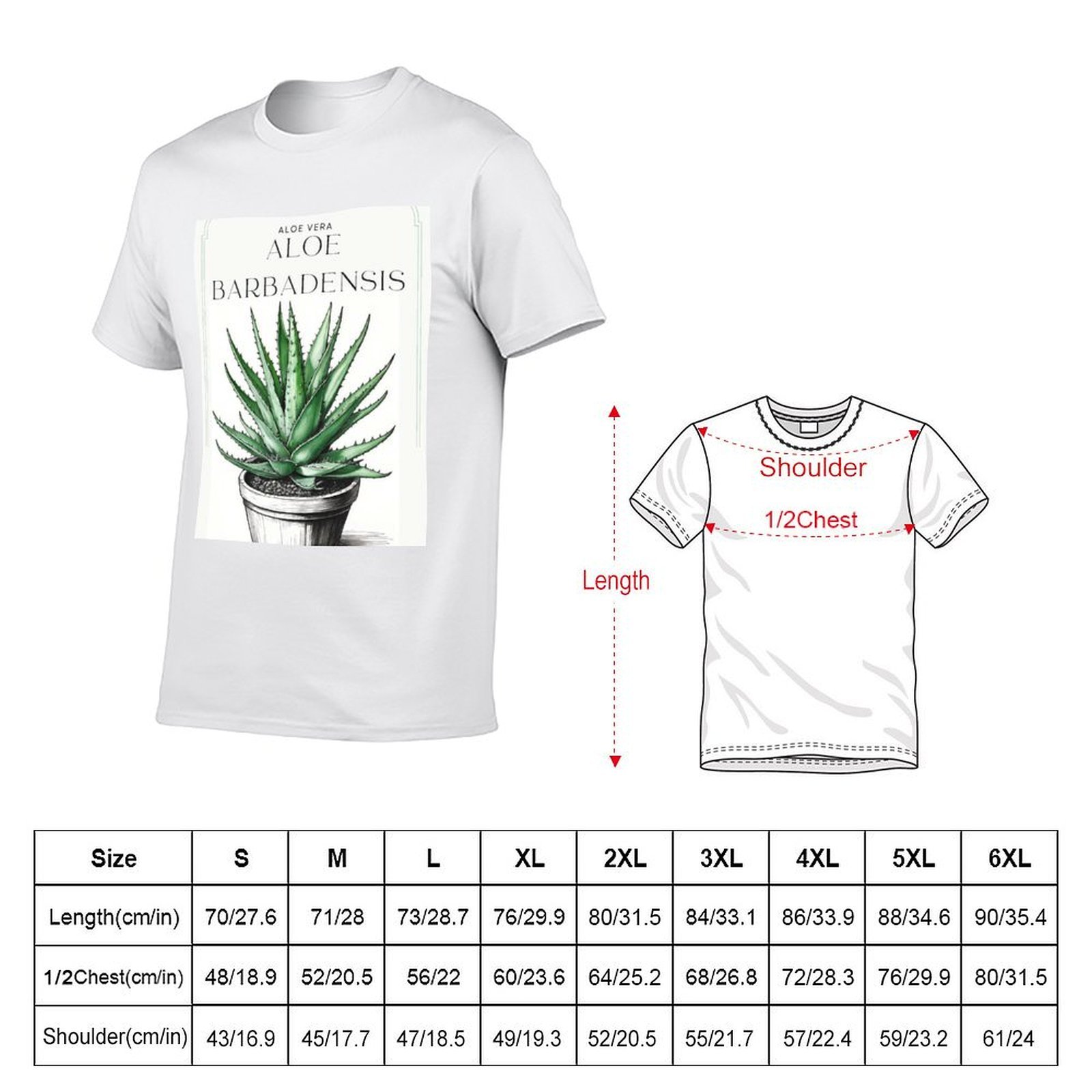 Botanical Aloe Vera in pot rus - Aloe Vera Pot 评论和价格