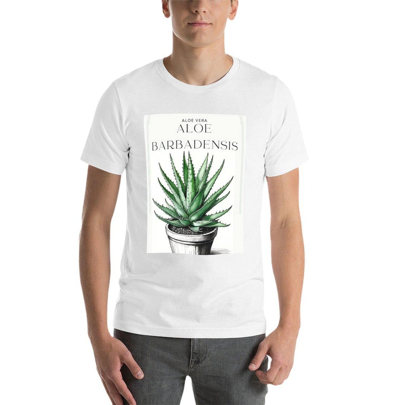 Botanical Aloe Vera in pot rus - Aloe Vera Pot 评论和价格