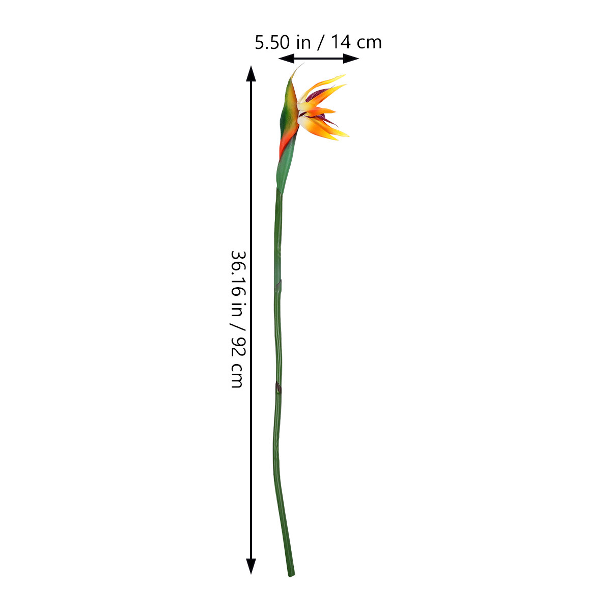 Faux Strelitzia Flower Artific - Bird Paradise Strelitzia 评论和价格