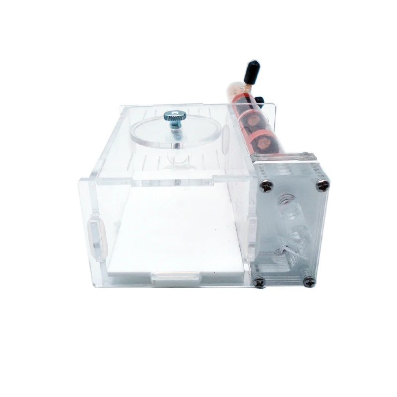 DIY Ant Farm 2 pcs 18-180mm Gy - Begonia Rex 评论和价格