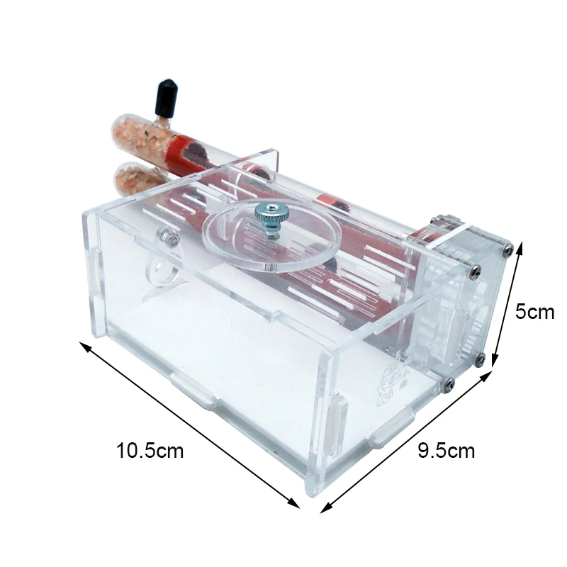 DIY Ant Farm 2 pcs 18-180mm Gy - Begonia Rex 评论和价格