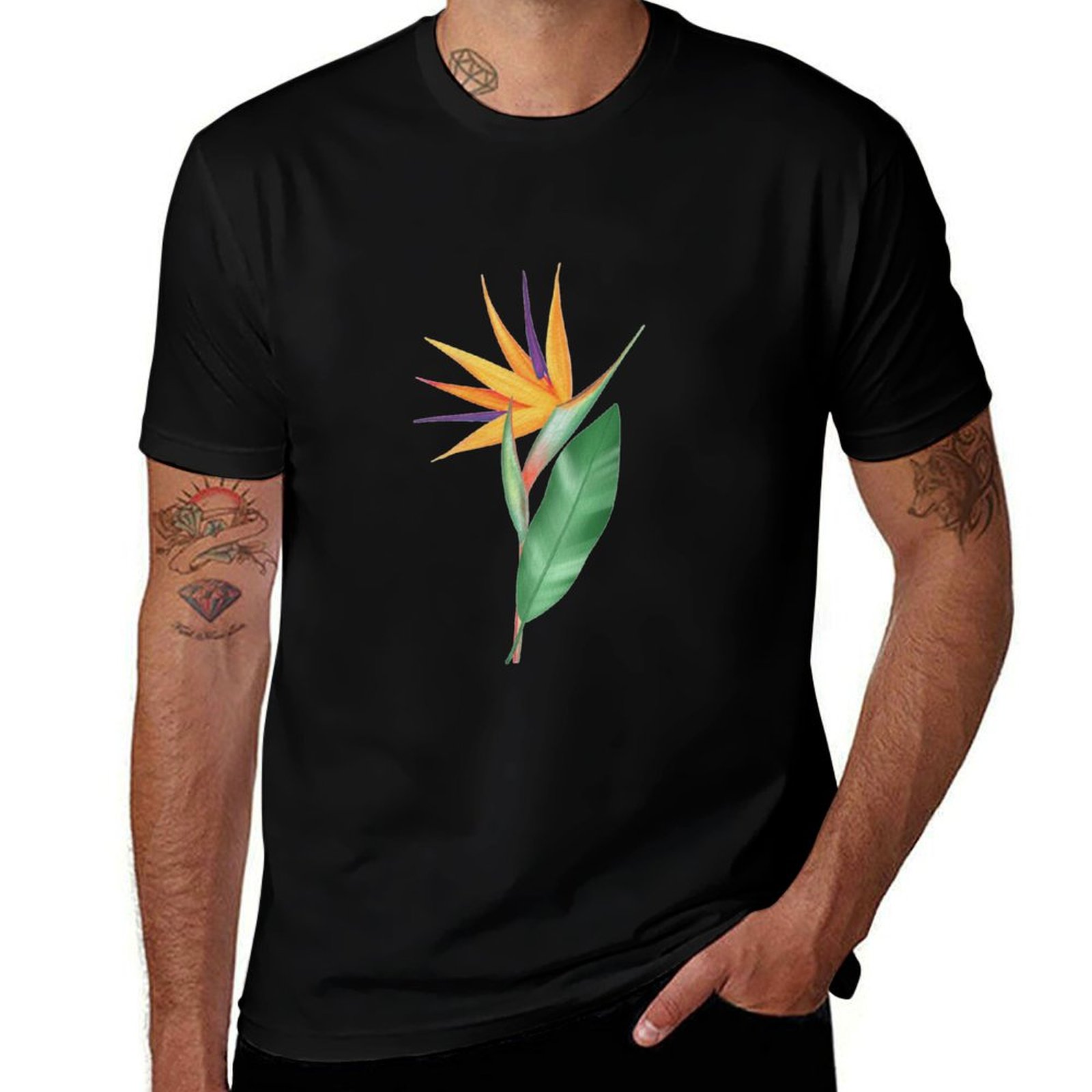 Watercolor bird of paradise fl - Bird Paradise Strelitzia 评论和价格