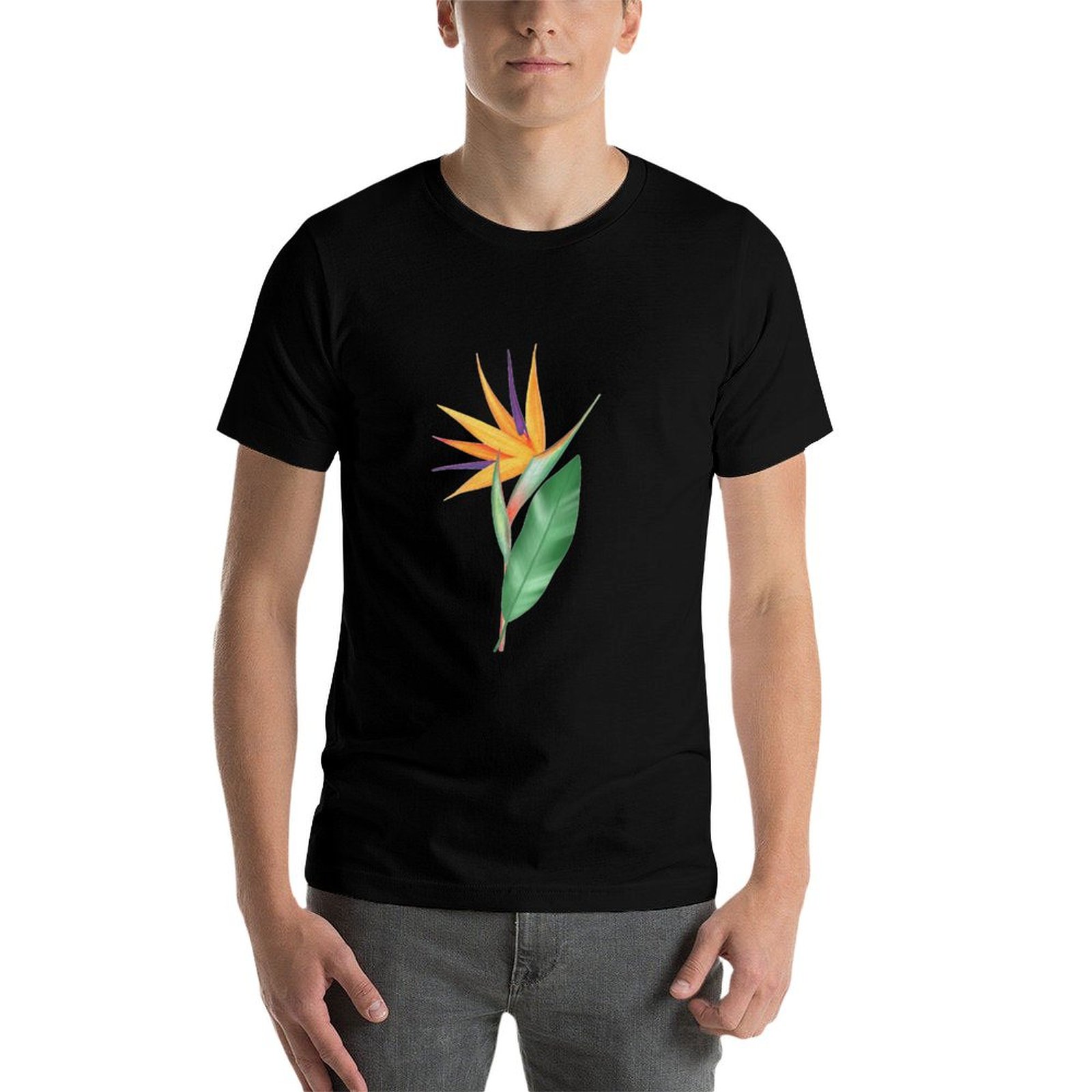 Watercolor bird of paradise fl - Bird Paradise Strelitzia 评论和价格
