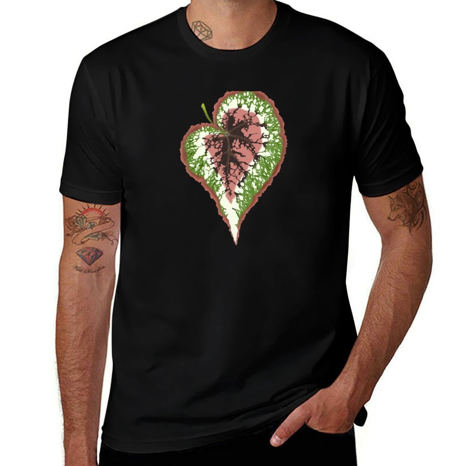 Begonia Rex T-Shirt Basic Simp - Begonia Rex 评论和价格