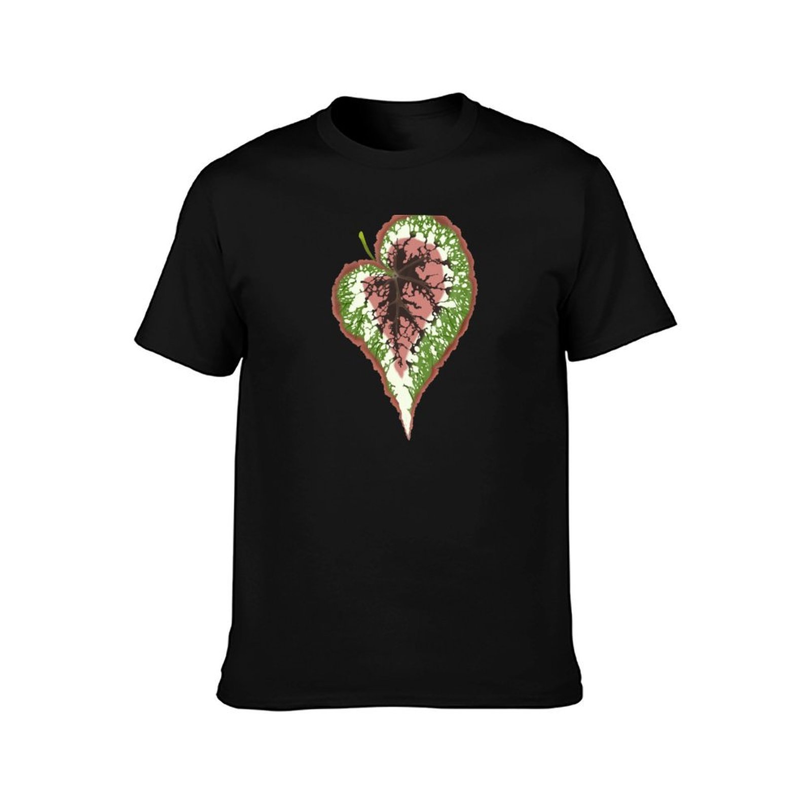 Begonia Rex T-Shirt Basic Simp - Begonia Rex 评论和价格