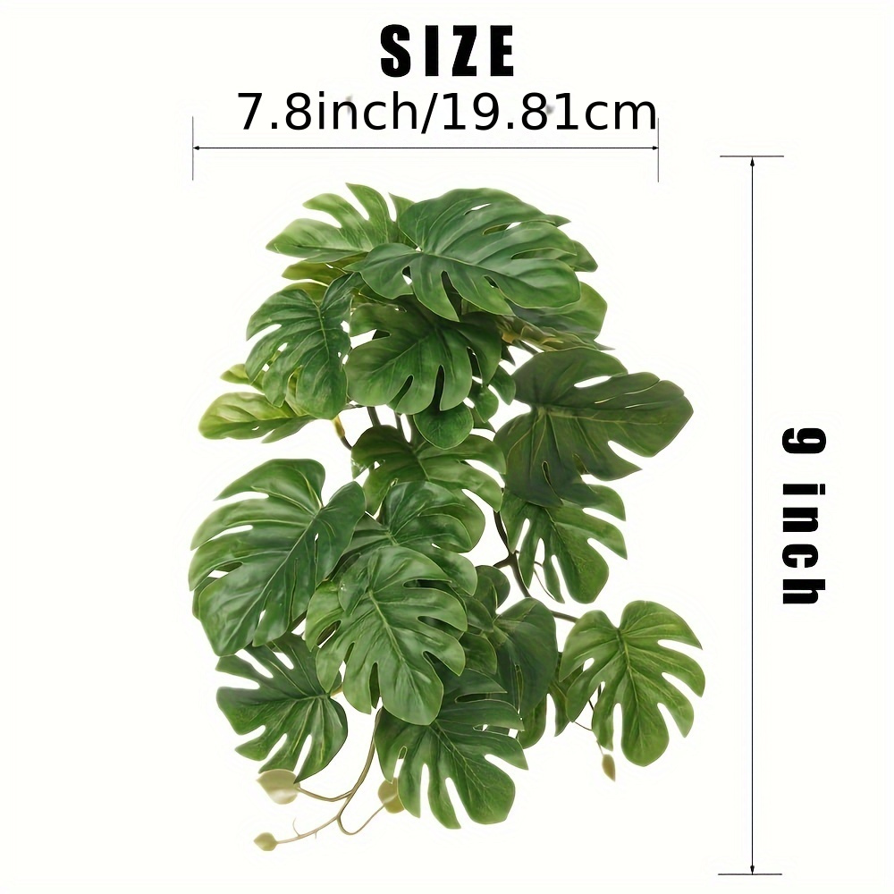Reptile Plants for Terrarium A - Monstera Adansonii 评论和价格