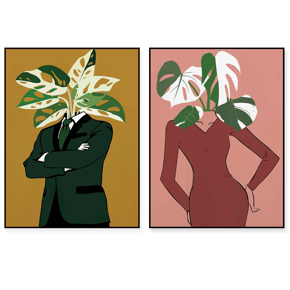 Monstera Albo in a burgundy dr - Monstera Adansonii 评论和价格