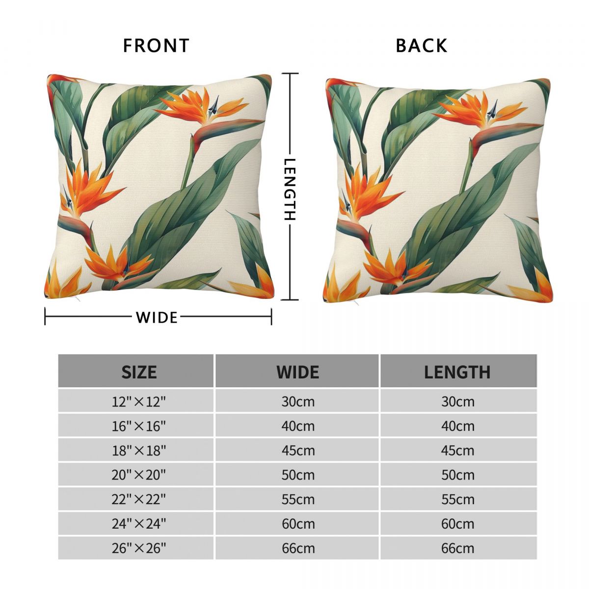 Bird Of Paradise Strelitzia Sq - Bird Paradise Strelitzia 评论和价格