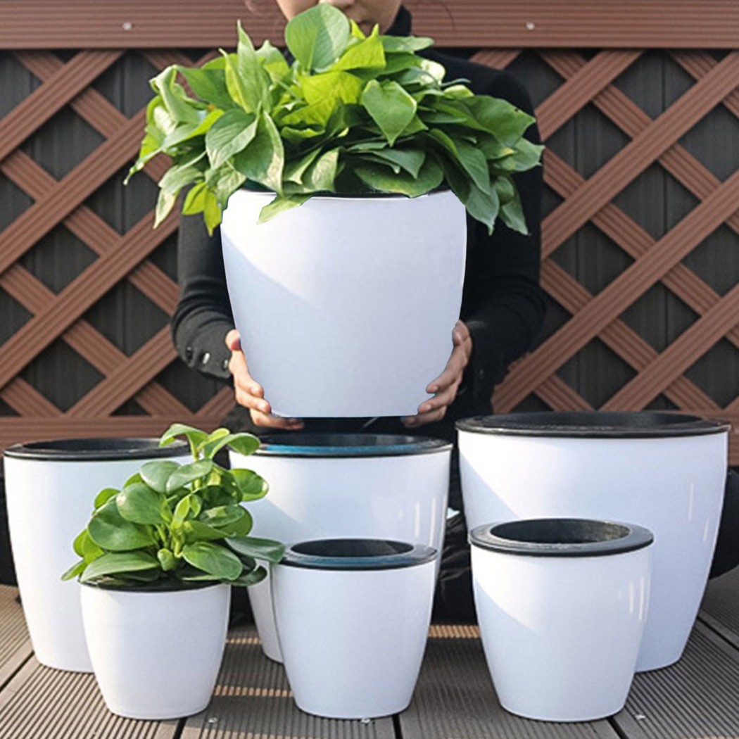 Automatic Watering Flower Plan - Aloe Vera Pot 评论和价格