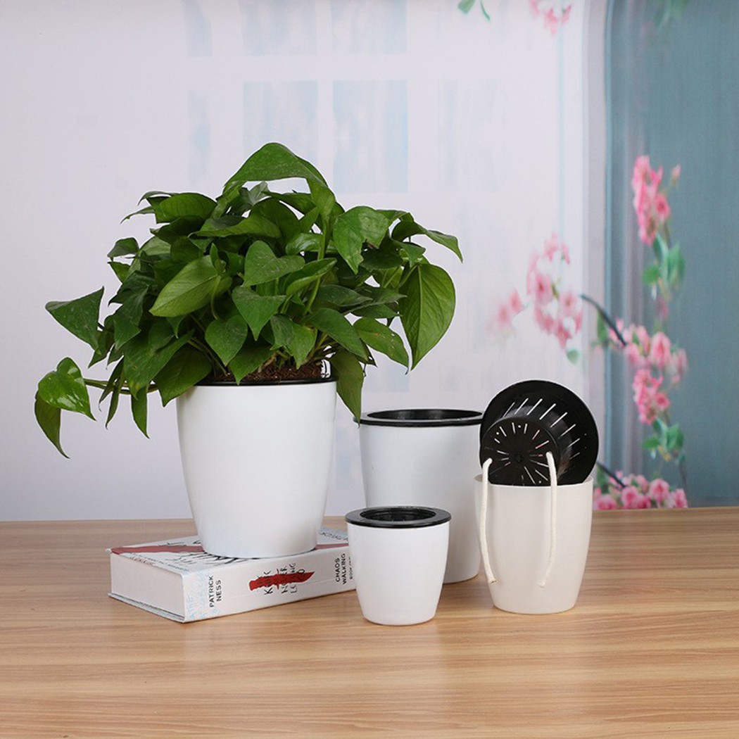 Automatic Watering Flower Plan - Aloe Vera Pot 评论和价格