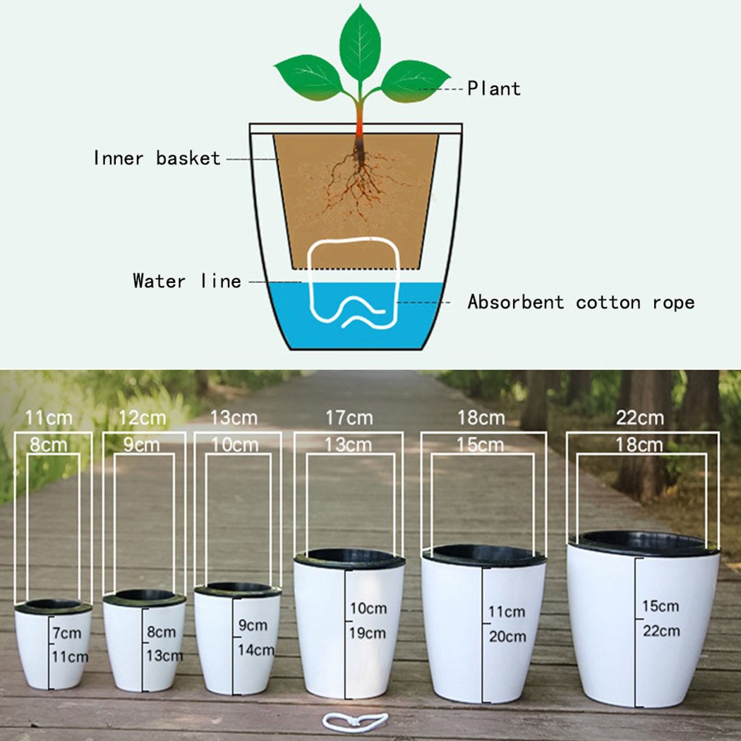 Automatic Watering Flower Plan - Aloe Vera Pot 评论和价格