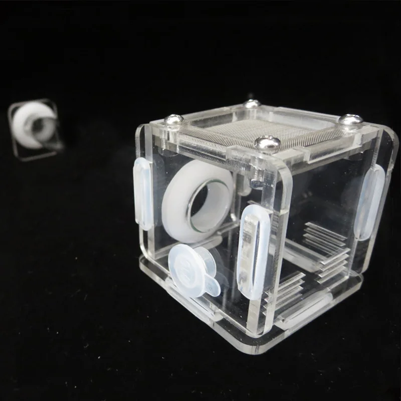 DIY Various Size Ant Farm Bamb - Begonia Rex 评论和价格