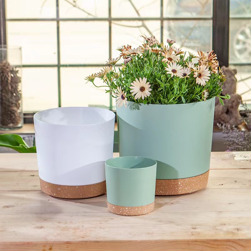 Plant POTS, lightweight Large  - Aloe Vera Pot 评论和价格
