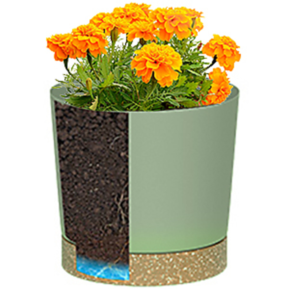 Plant POTS, lightweight Large  - Aloe Vera Pot 评论和价格