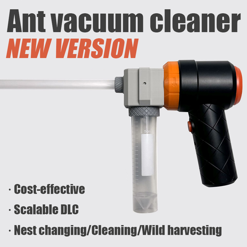 Ant Farm Collection Tool Ants  - Begonia Rex 评论和价格