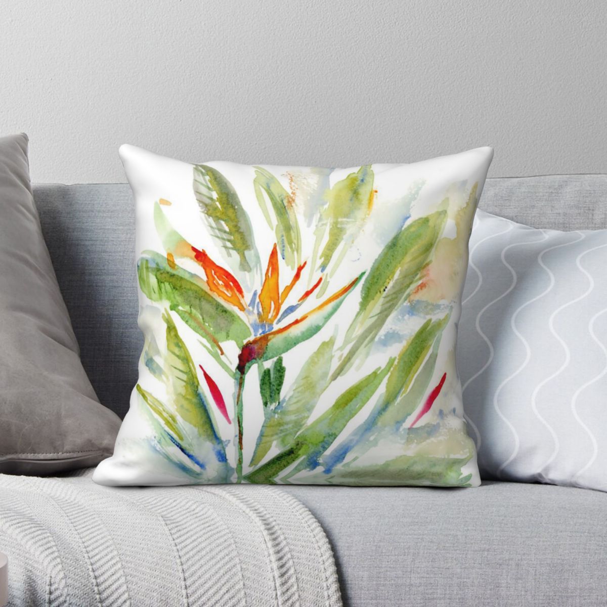 Bird Of Paradise Strelitzia Sq - Bird Paradise Strelitzia 评论和价格