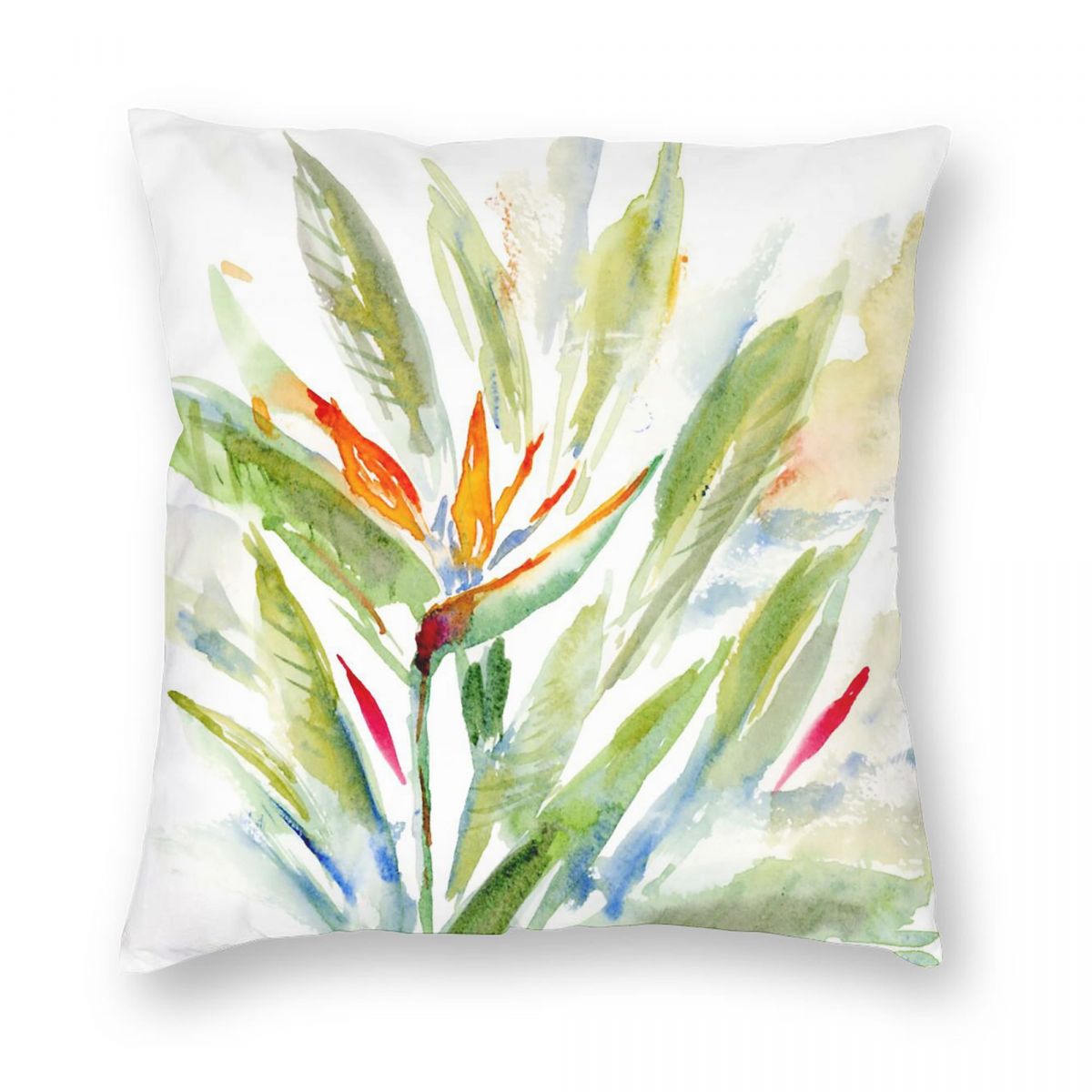 Bird Of Paradise Strelitzia Sq - Bird Paradise Strelitzia 评论和价格