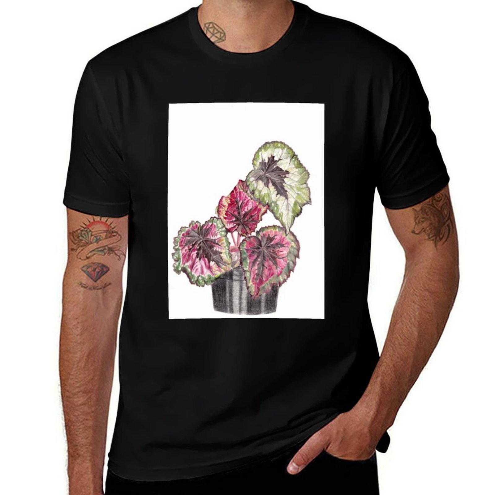 Begonia Rex T-Shirt Comfort St - Begonia Rex 评论和价格