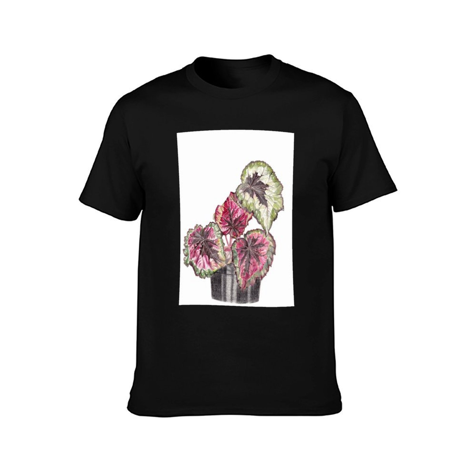 Begonia Rex T-Shirt Comfort St - Begonia Rex 评论和价格