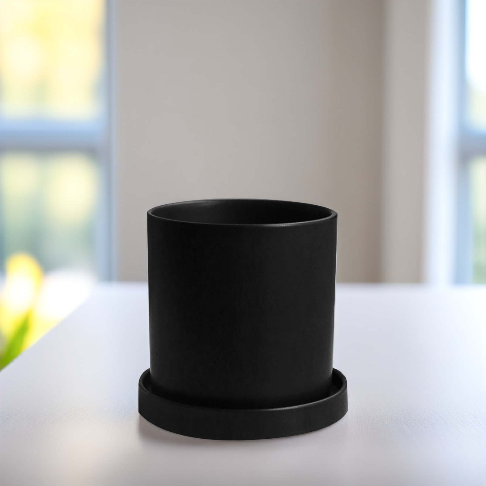 1Set Stylish Ceramic Pots with - Aloe Vera Pot 评论和价格