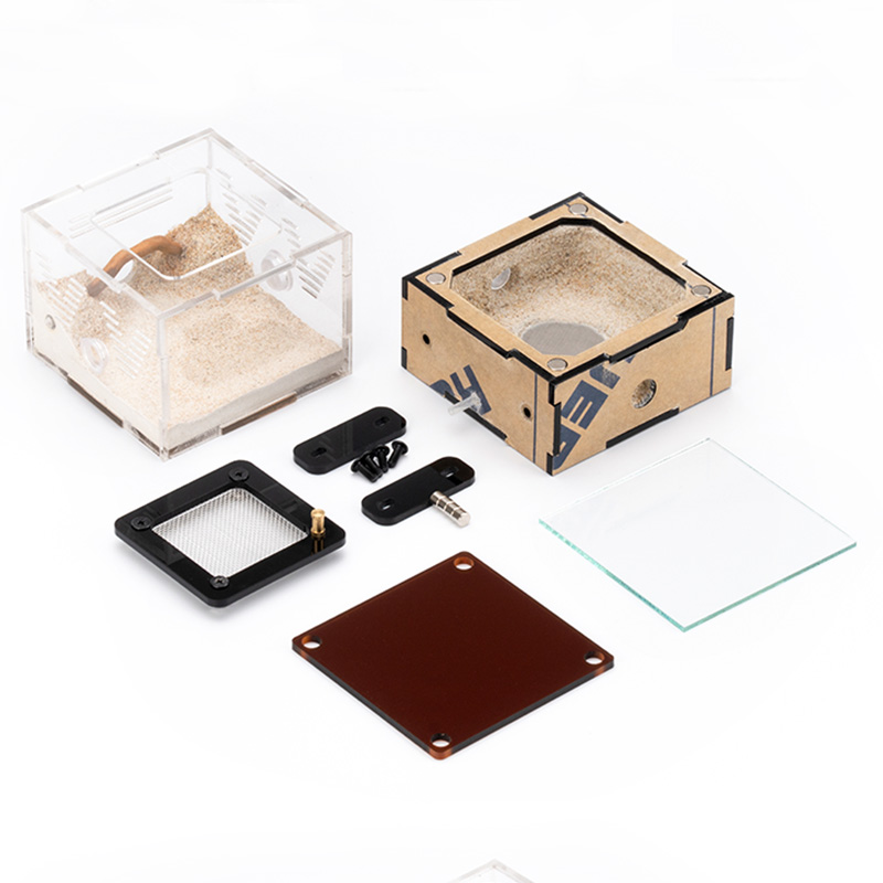 Unlimited Expansion Ant Farm H - Begonia Rex 评论和价格
